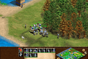 Age of Empires II: The Age of Kings 28