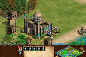 Age of Empires II: The Age of Kings 29