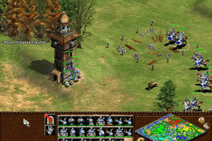Age of Empires II: The Age of Kings 30