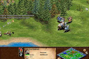Age of Empires II: The Age of Kings 31