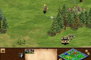 Age of Empires II: The Age of Kings 32