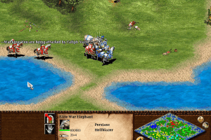 Age of Empires II: The Age of Kings 33