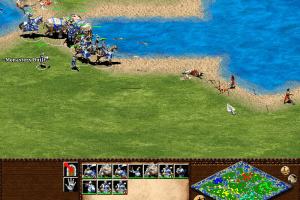 Age of Empires II: The Age of Kings 34