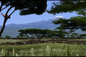 Ajabu: The Legacy of the Ancients 11