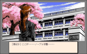 Akiko GOLD: The Queen of Adult 1