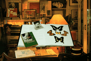 Alice: An Interactive Museum 8