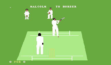 Allan Border's Cricket abandonware