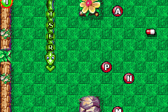 Alpha Snake 5