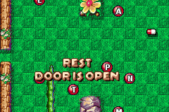 Alpha Snake 6