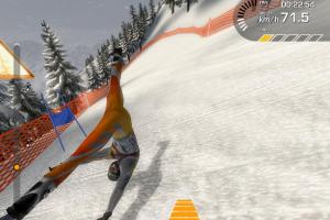 Alpine Ski Racing 2007: Bode Miller vs. Hermann Maier 8