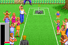 American Horseshoes 9