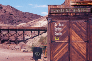 American Hunting Volume 1: Varmint Hunter 1