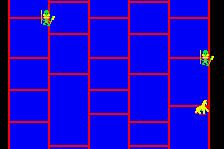 Amidar 3