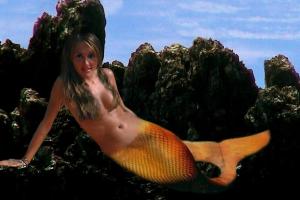 Anacapri: The Dream 22