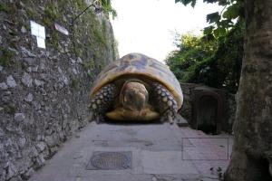 Anacapri: The Dream 27