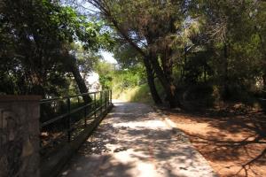 Anacapri: The Dream 3