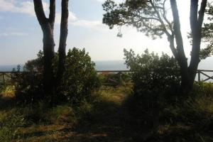 Anacapri: The Dream 26