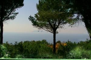 Anacapri: The Dream 4