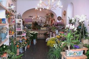 Anacapri: The Dream 5