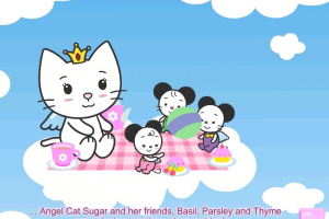 Angel Cat Sugar 4