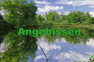 Angeln: Die Simulation 1