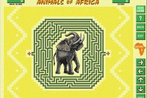 Animals of Africa 3