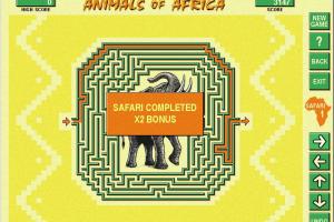 Animals of Africa 6