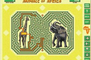 Animals of Africa 7