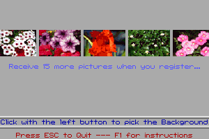 Animated Bugs 1