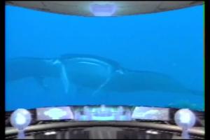 Aqua Adventure - Blue Lilty 3