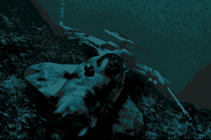 Aquaventura 12