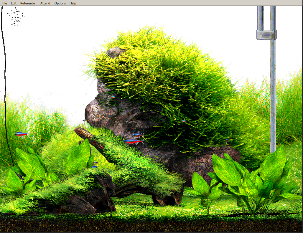 aquazone virtual aquarium download aquazone virtual aquarium download