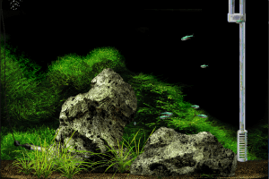 Aquazone Deluxe II with Guppies: Your Virtual Aquarium 2