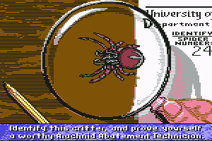 Arachnophobia abandonware