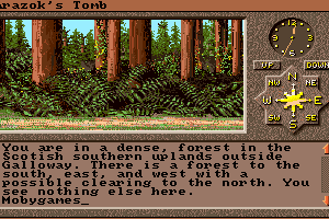 Arazok's Tomb 1