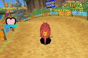 Armadillo Racing 9