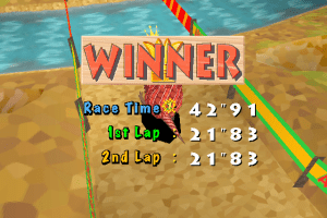Armadillo Racing 10
