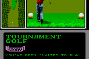 Arnold Palmer Tournament Golf 5