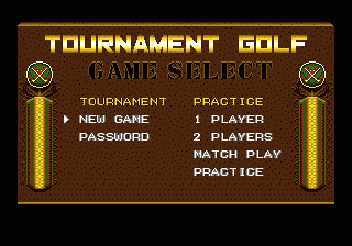 Arnold Palmer Tournament Golf 1
