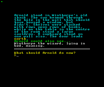 Arnold the Adventurer III abandonware