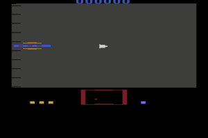 Asteroid Fire 2