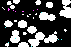 Asteroid Pilot 3