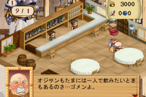Atelier Elie: Salburg no Renkinjutsushi 2 (Premium Box) 9