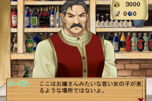 Atelier Elie: Salburg no Renkinjutsushi 2 (Premium Box) 10