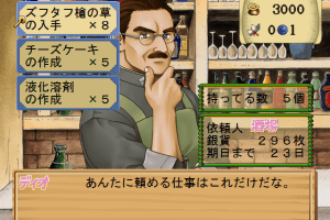 Atelier Elie: Salburg no Renkinjutsushi 2 (Premium Box) 11