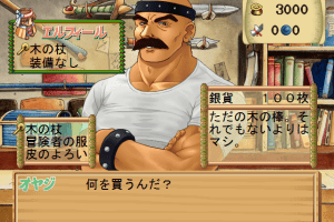 Atelier Elie: Salburg no Renkinjutsushi 2 (Premium Box) 13
