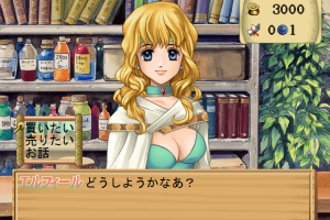 Atelier Elie: Salburg no Renkinjutsushi 2 (Premium Box) 15
