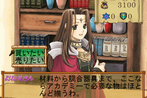 Atelier Marie: Salburg no Renkinjutsushi (Premium Box) 12