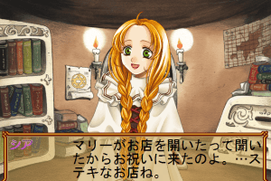 Atelier Marie: Salburg no Renkinjutsushi (Premium Box) 4