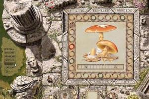 Aureum 2